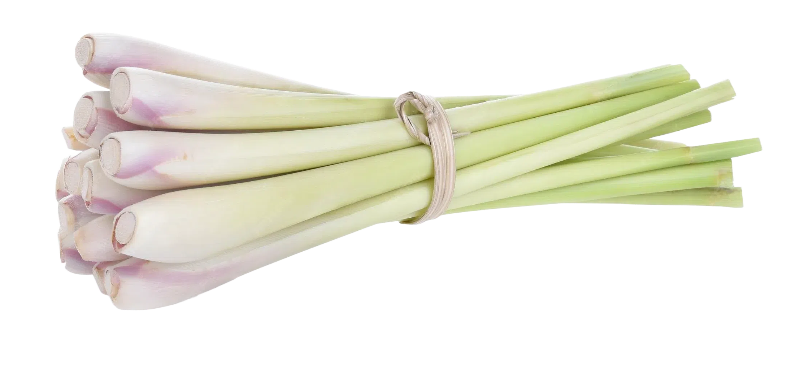 Lemongrass