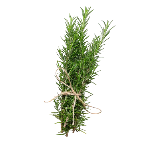Rosemary
