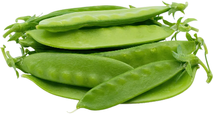 Snow Peas