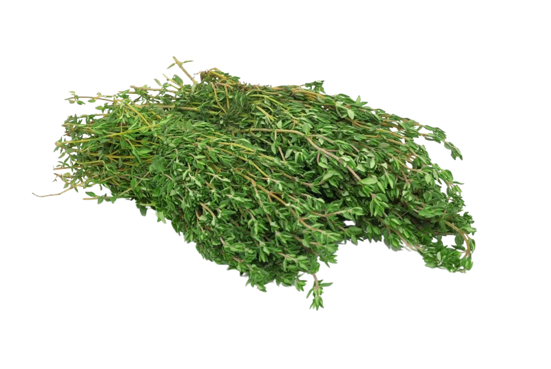 Thyme