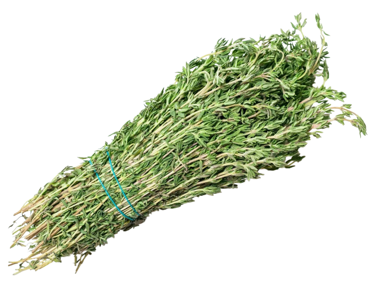 Thyme