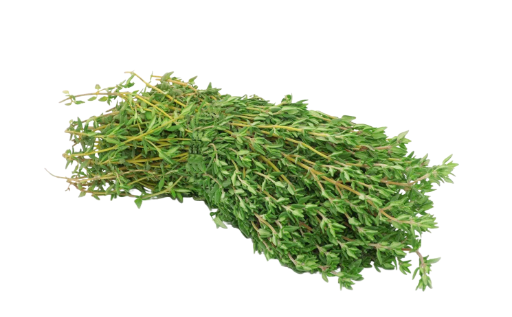 Thyme