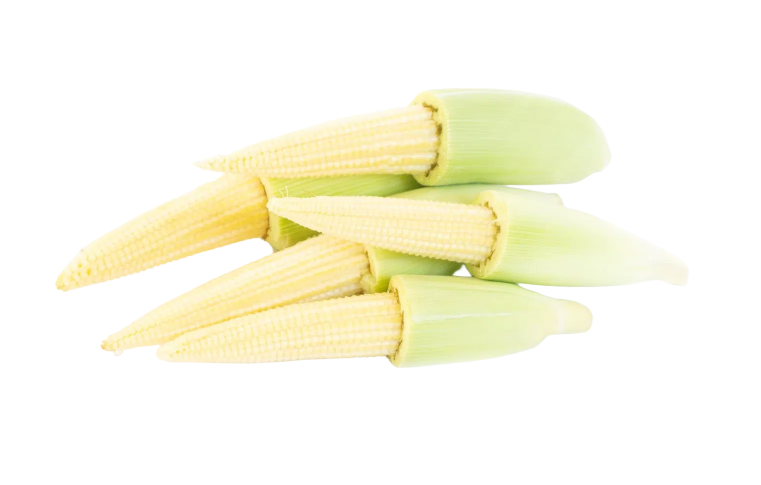 Babycorns