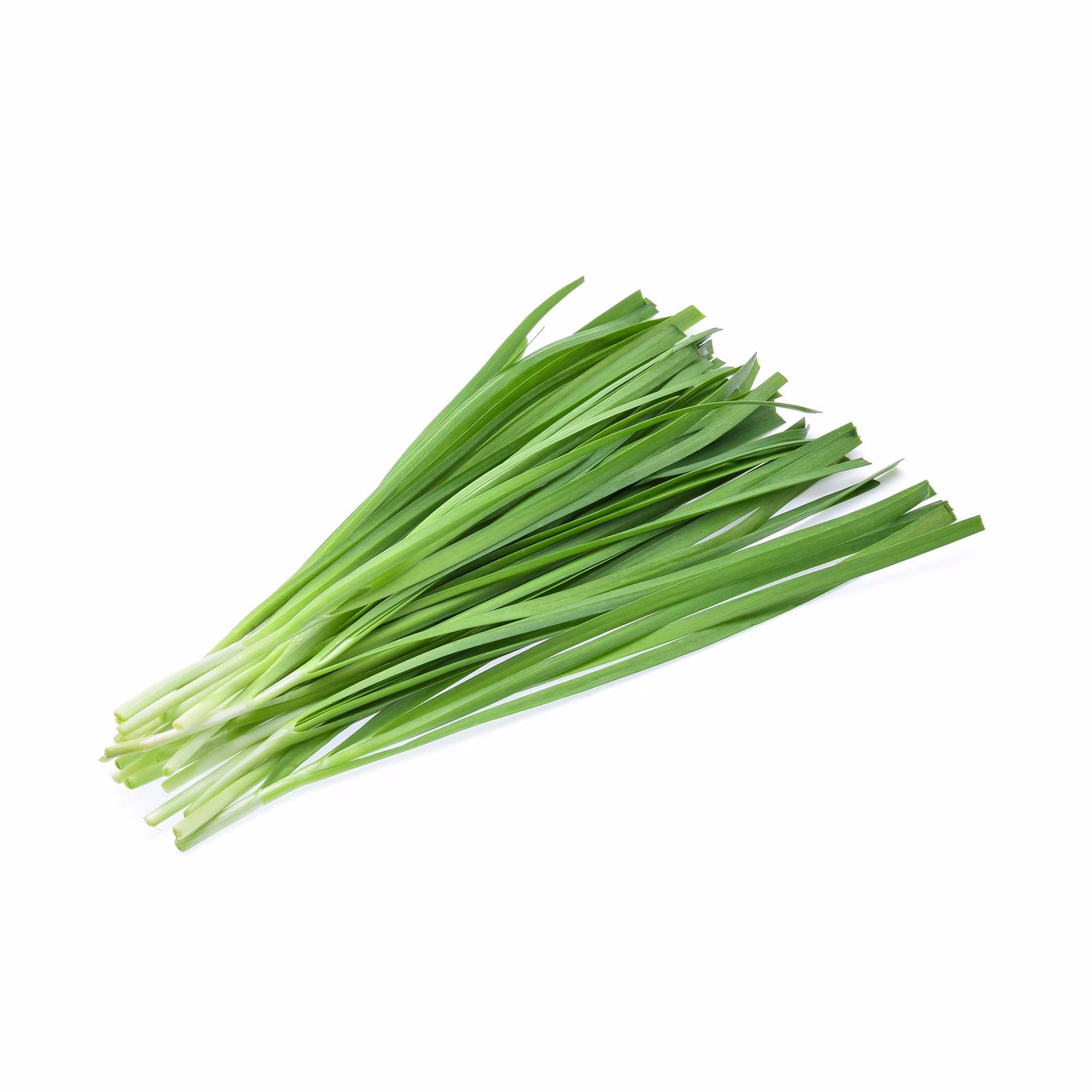 Chives