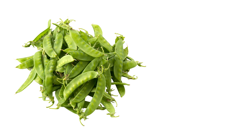 Snow Peas
